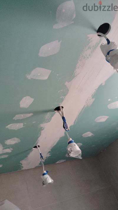 gypsum board and paint 96401717