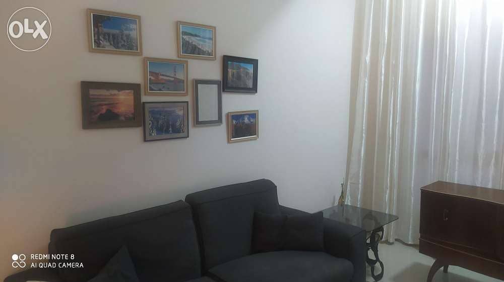 Luxurious fully furnished apartment with free Wifi/electricity/water 3