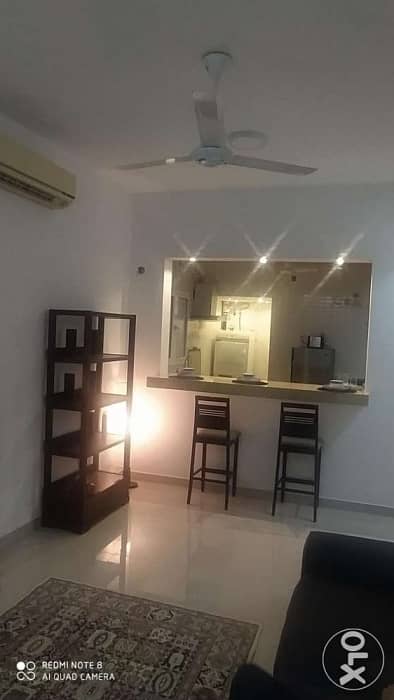 Luxurious fully furnished apartment with free Wifi/electricity/water 7