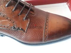 Top brand Pierre Cardin shoe