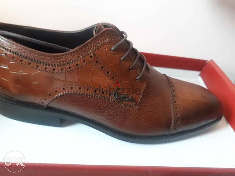 Top brand Pierre Cardin shoe 3