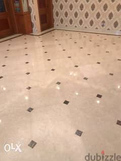 Marble grinding with polishing and cleaning, pest control