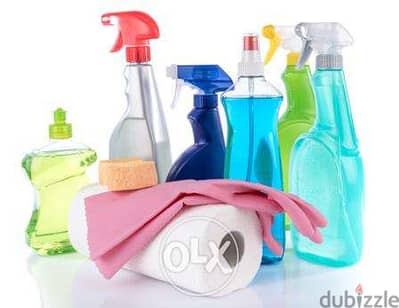 Cleaning Service