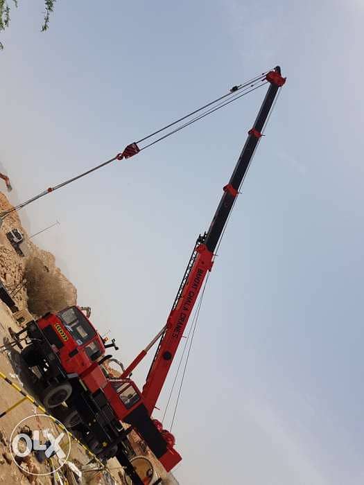 PPM 50 ton crane 3