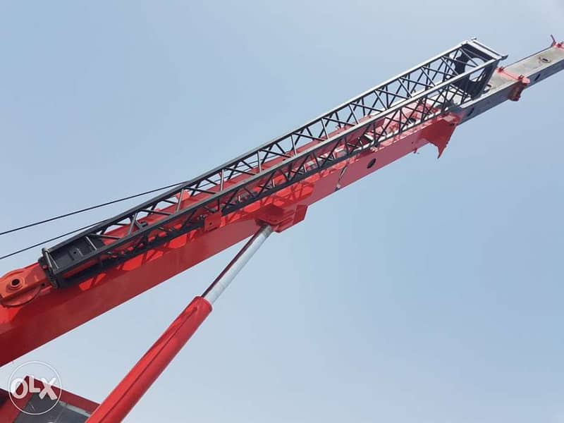 PPM 50 ton crane 5