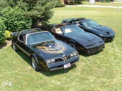 ليتات امامية ترانزم فايربرد Transam Firebird وكابرس ١٩٧٨ الى ٢٠٠٣