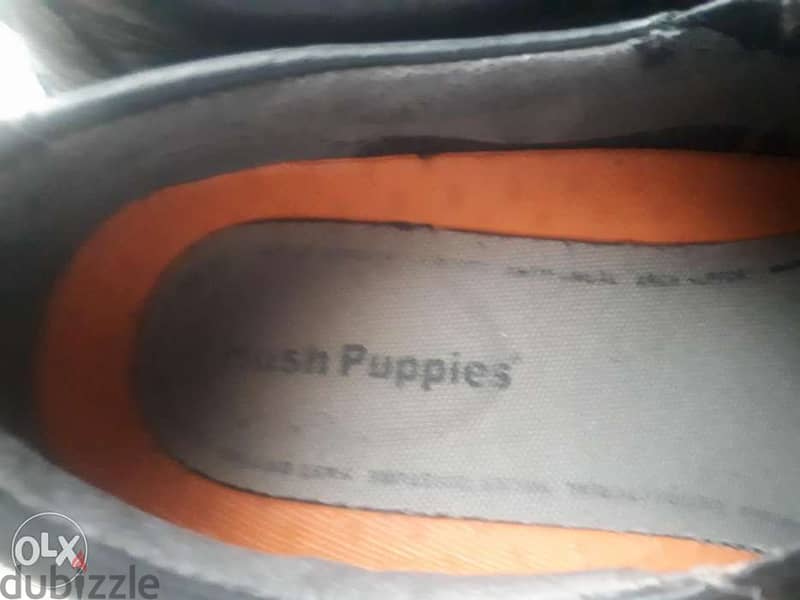 Strong shoe, Hush Puppies 1
