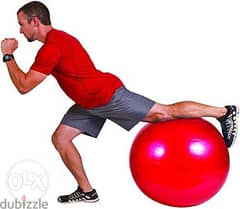 Stability ball for fitness at home