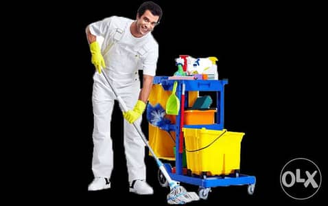 Professional House Cleaning Service