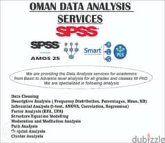 Data Analysis Services Available 0