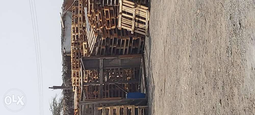 Used wooden and plastic pallets . . . buying and selling 2