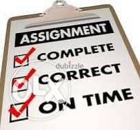 assignment and project professional delivery 1