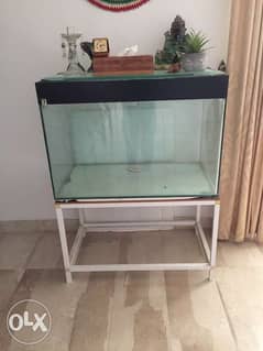 Fish tank stand