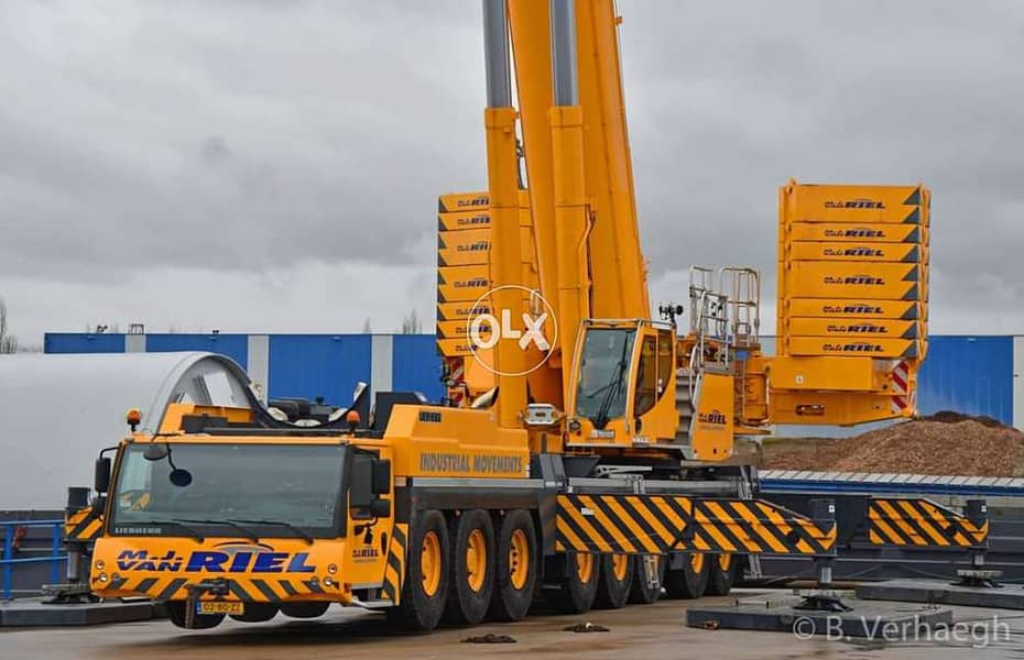 All Capacity Of Cranes Available For Rent 1