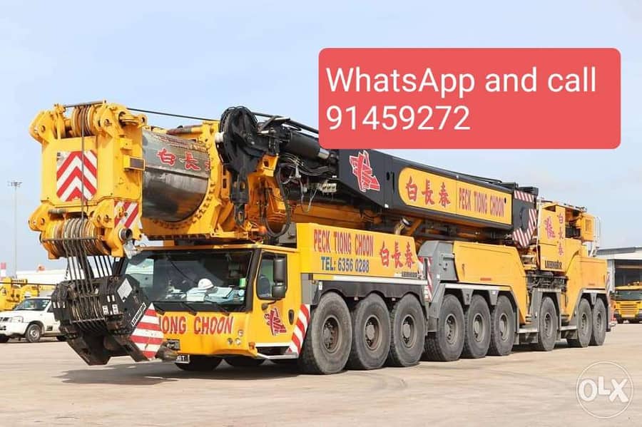 Cranes available for rent pdo opal approved 0