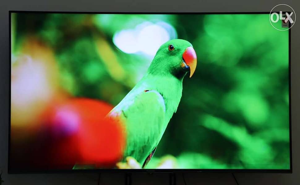 Android 55" Panasonic TV with surround. 4