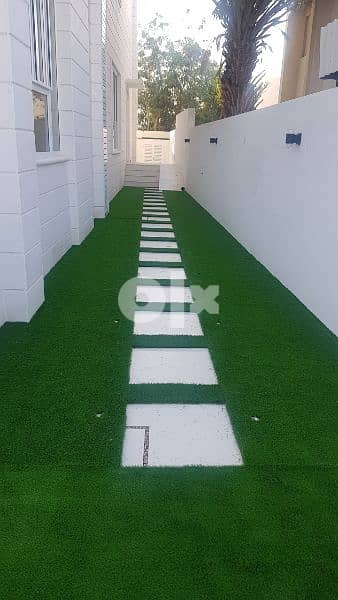 Artificial Grass 1