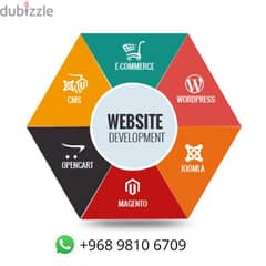 Complete Website Development for your business/service