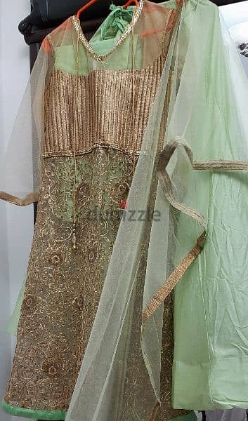 Beautiful Pista Green - Mastani Dress 7