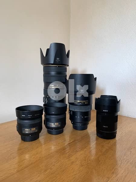 Nikon and Sony Lenses 1