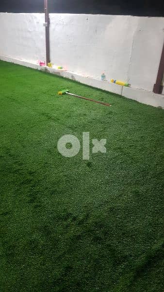 Artificial grass 2