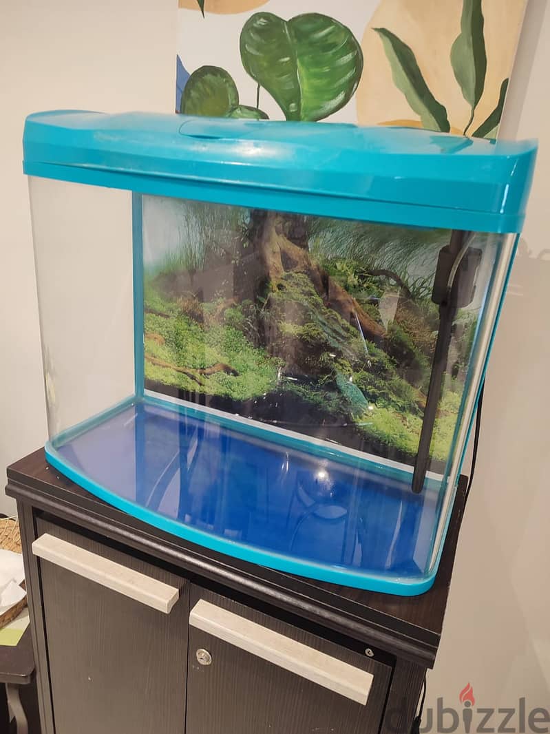 Fish tank with accessories for sale (reduced price) 0