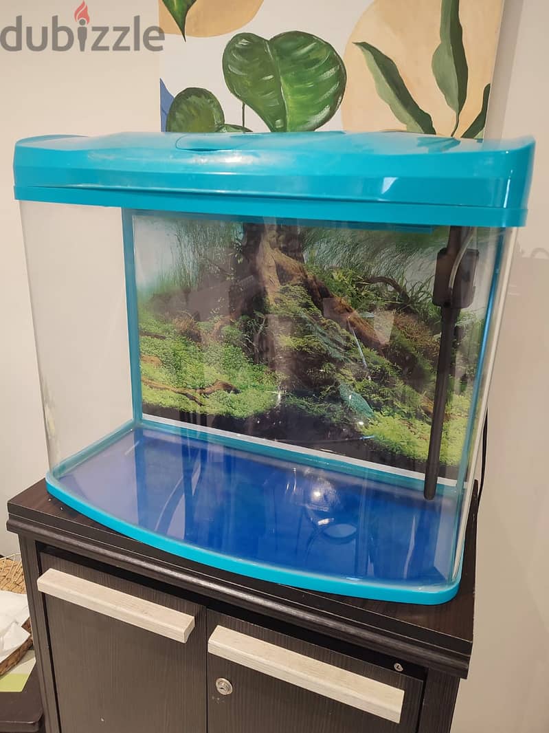 Fish tank with accessories for sale (reduced price) 1