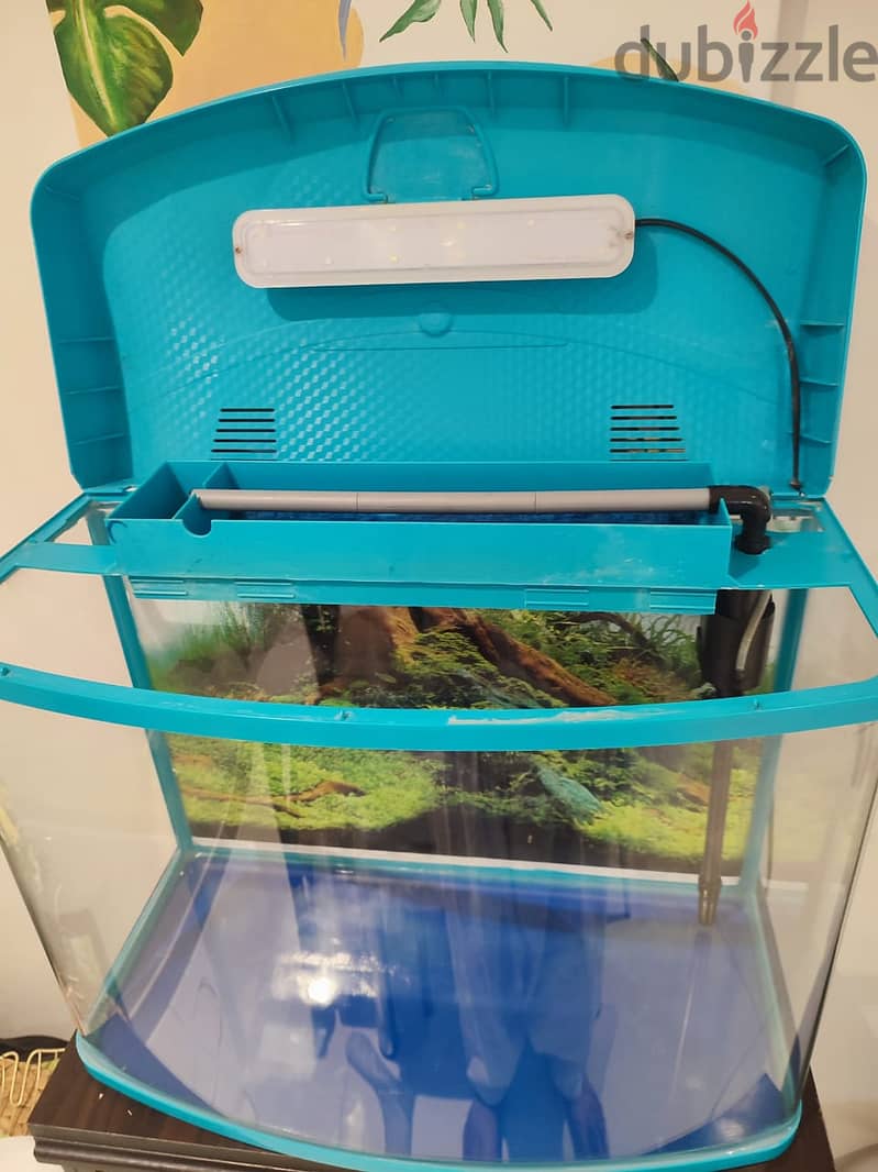 Fish tank with accessories for sale (reduced price) 4