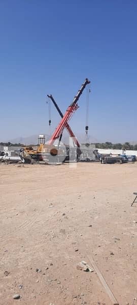 We have cranes 25 tone to 220 tone cranes for rent 4