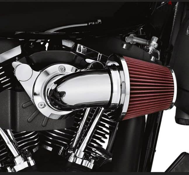 Harley Davidson Screamin' Eagle Heavy Breather Performance AC kit 4