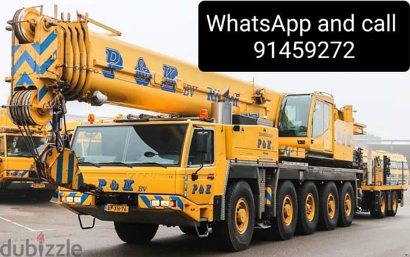 crane for rent from 25 to 220 ton 3