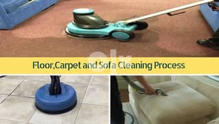 sofa/carpet shampooing cleaning services 0
