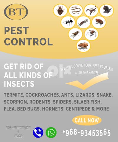 PEST CONTROL - BEST SERVICE IN MUSCAT