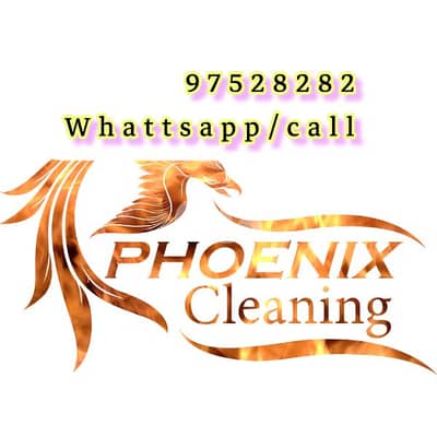 Cleaning Service, House Office Flat Garden or Store