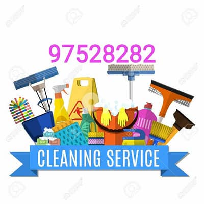 Best House Flat Cleaning Services