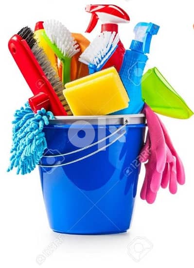 manager for cleaning services