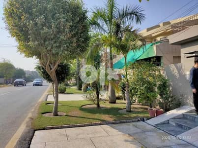 Garden Cleaning or Maintance Plants Cutting service