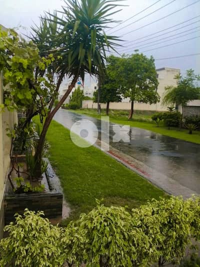 Garden Cleaning or Maintance Plants Cutting service