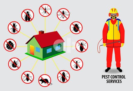 Pest Control Service all over Muscat