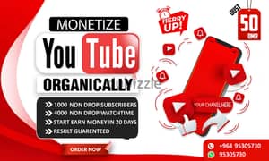 Monitize your Youtube Channel in Just 15 Days Guarenteed 0