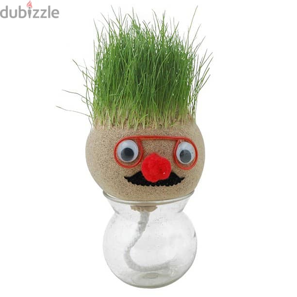 Mini Growing Grass Head Educatn Toys Grass Head/ Desktop Office Potted 1