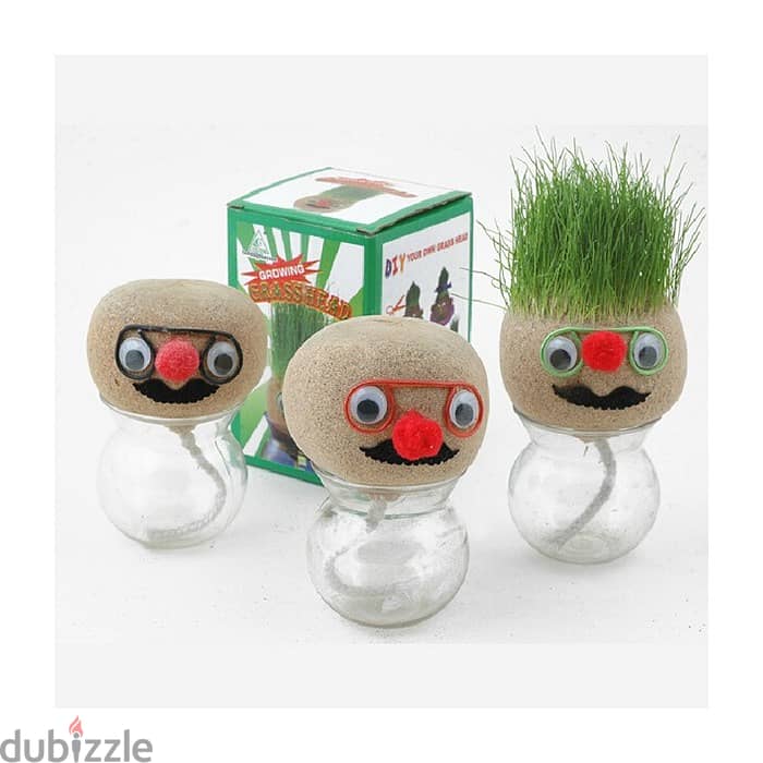 Mini Growing Grass Head Educatn Toys Grass Head/ Desktop Office Potted 0