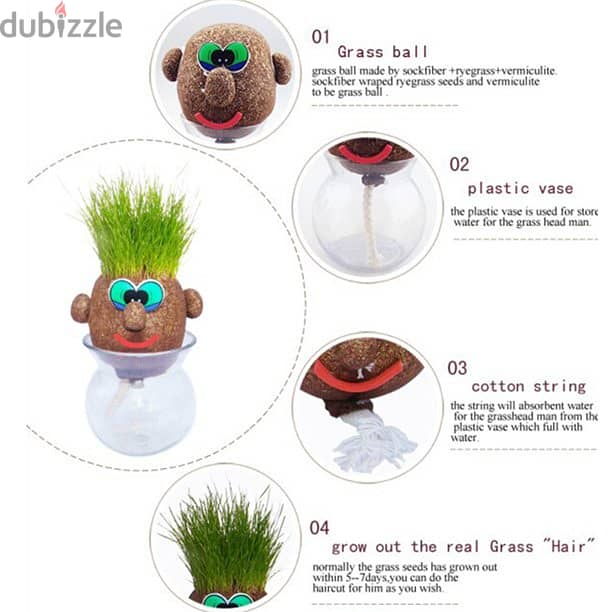 Mini Growing Grass Head Educatn Toys Grass Head/ Desktop Office Potted 2