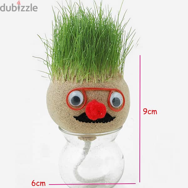 Mini Growing Grass Head Educatn Toys Grass Head/ Desktop Office Potted 5