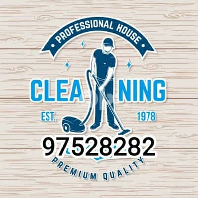 Professional house cleaning Services