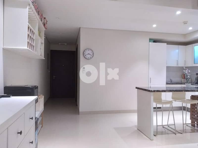 Amazing apartment in Jebel Sifah 10