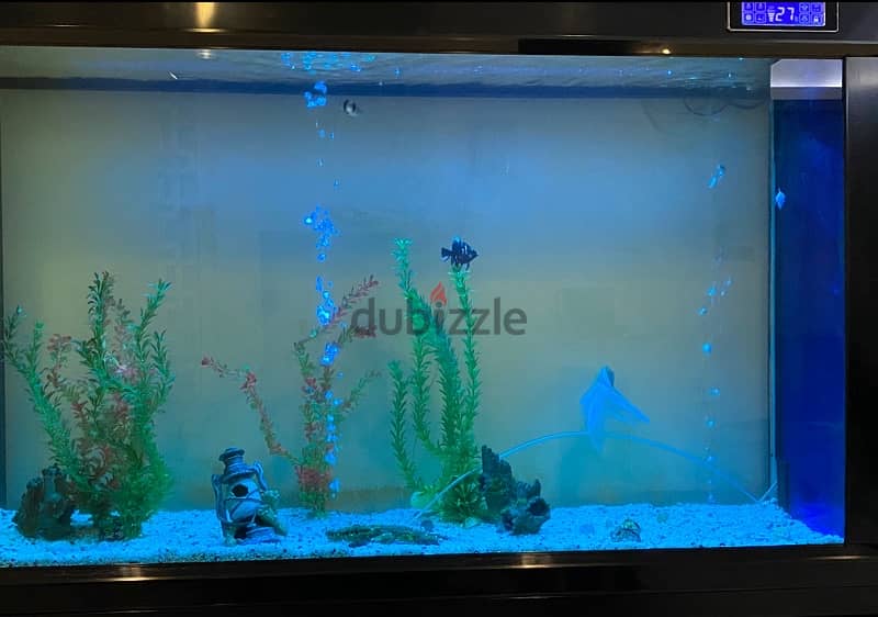 big home aquarium 0