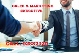 MARKETING EXECUTIVE FOR IT COMPANY 0