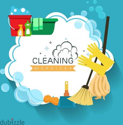 house & apartment  cleaning services