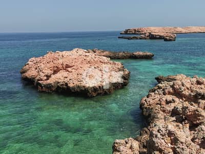 Snorkeling at dimaniyat